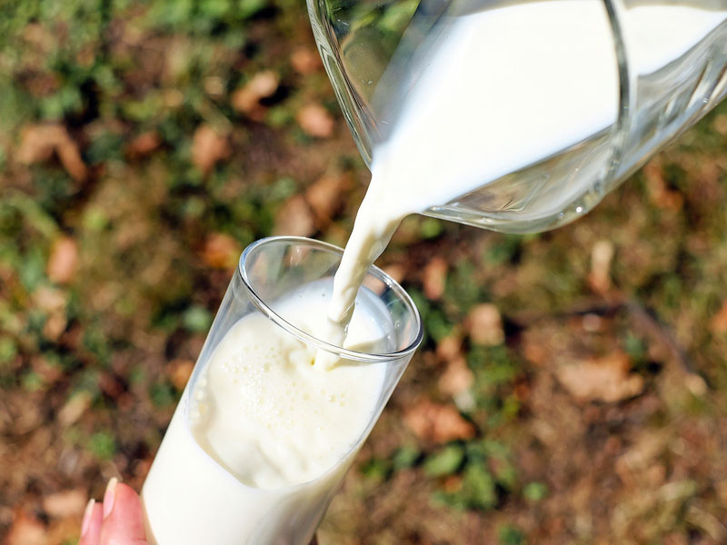 El peligro de tomar leche sin lactosa sin ser intolerante