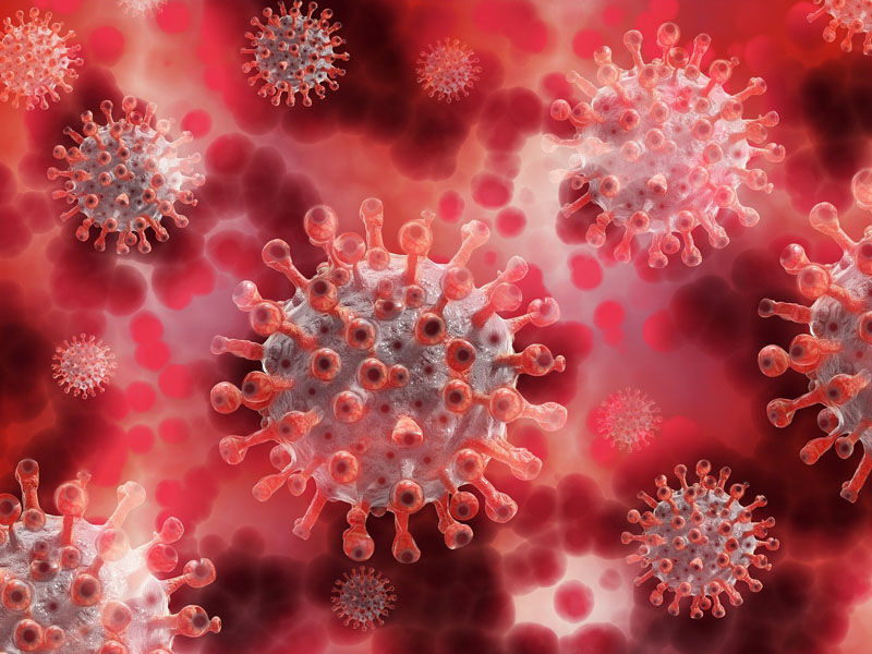 Crean la primera forma de vida inmune a los virus